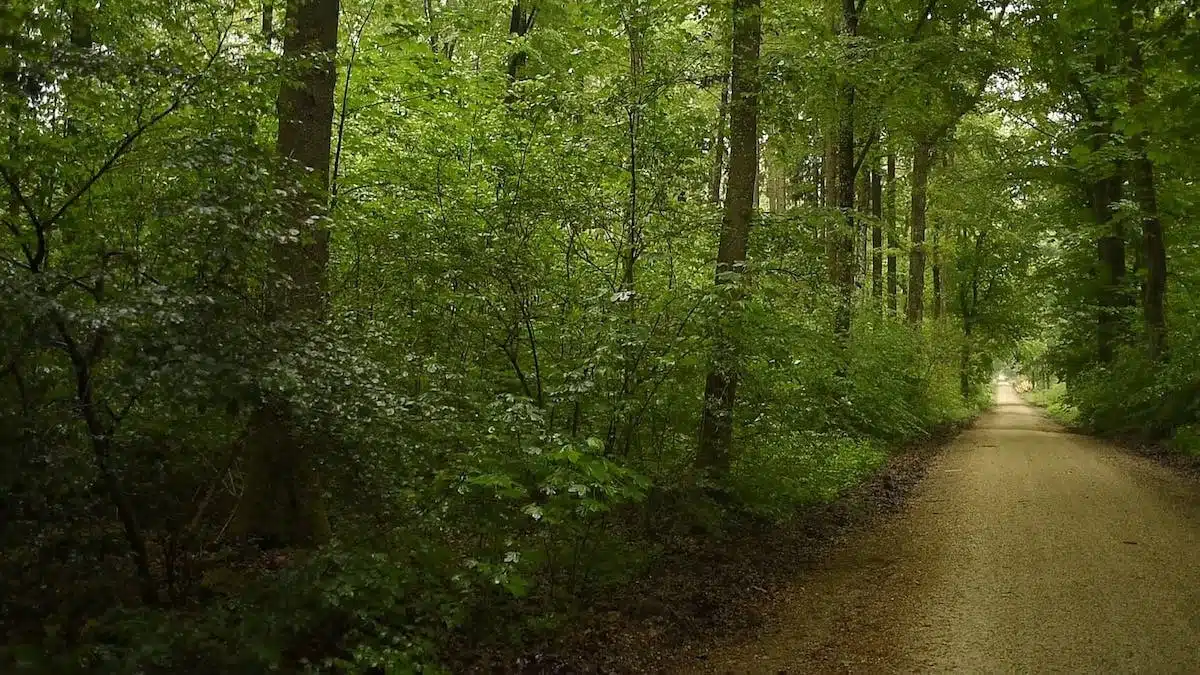 chemin  route